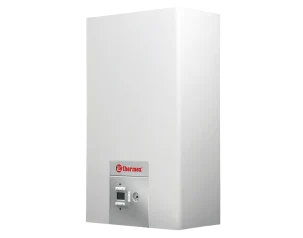 Газовый настенный котел Thermex EuroElite F24 (Двухконтурный) - 24 кВт