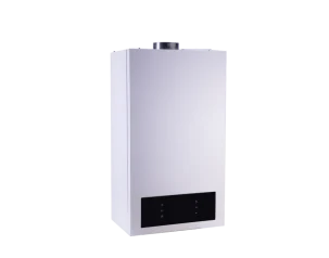 Настенный двухконтурный газовый котел HUBERT AGB 10 DP - 10 кВт					
