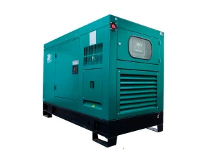 Газовый генератор REG G23-1-RE-LS электростанция в защитном кожухе