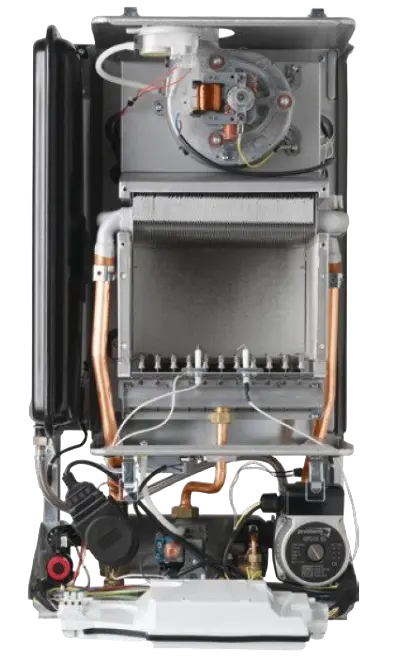 Купить Газовый настенный котел Protherm Рысь НК 24 (Двухконтурный) - 24 ...
